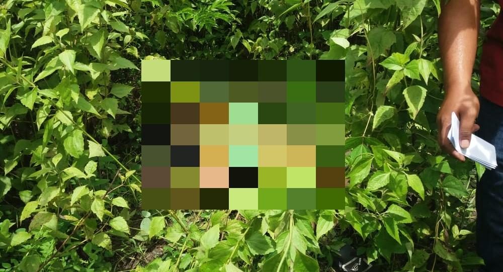 Penemuan Mayat Gadis 18 Tahun di Kupang, Banyak Luka Tusuk