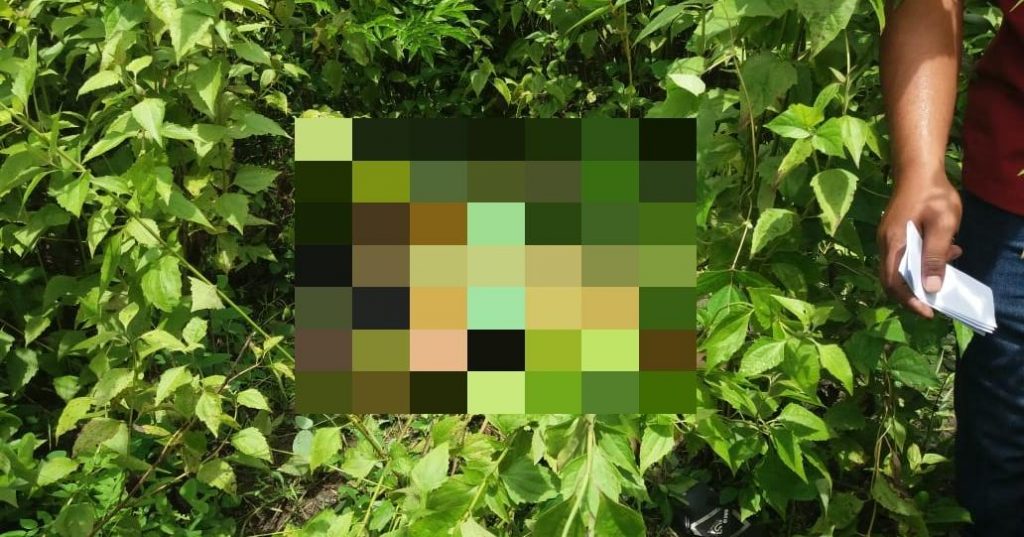 Penemuan Mayat Gadis 18 Tahun di Kupang, Banyak Luka Tusuk