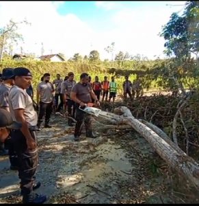 Polisi Evakuasi Pohon Tumbang Pasca Badai Seroja di Kupang