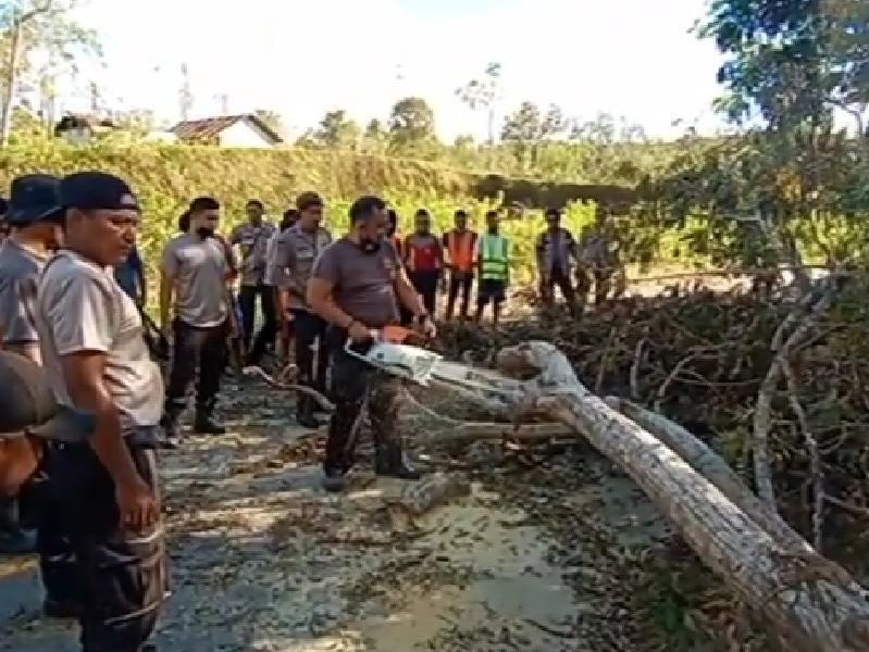 Polisi Evakuasi Pohon Tumbang Pasca Badai Seroja di Kupang Polisi Evakuasi Pohon Tumbang Pasca Badai Seroja di Kupang