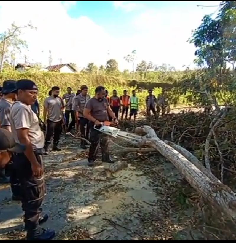 Polisi Evakuasi Pohon Tumbang Pasca Badai Seroja di Kupang