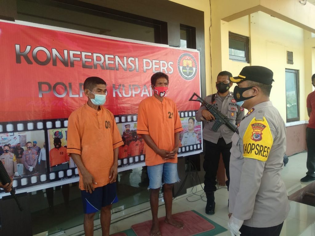 Polisi Bekuk Dua Pencuri Sapi di Kupang, Terancam 7 Tahun Penjara