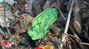 Polisi Usut Penemuan Mayat Bayi di Kupang, Saksi Lihat Dua Wanita ke TPA