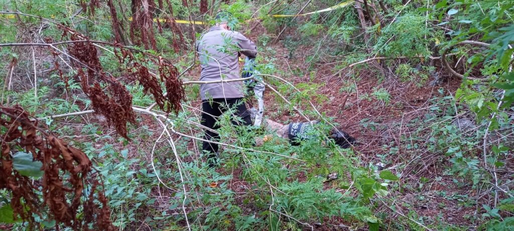 Polisi Terus Usut Kematian Nona Welkis, Kapolres Kupang Sebut Ada Tindak Kekerasan