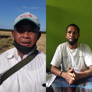 Musim Tanam Kedua, Petani di Kupang Harap Ketersediaan Pupuk