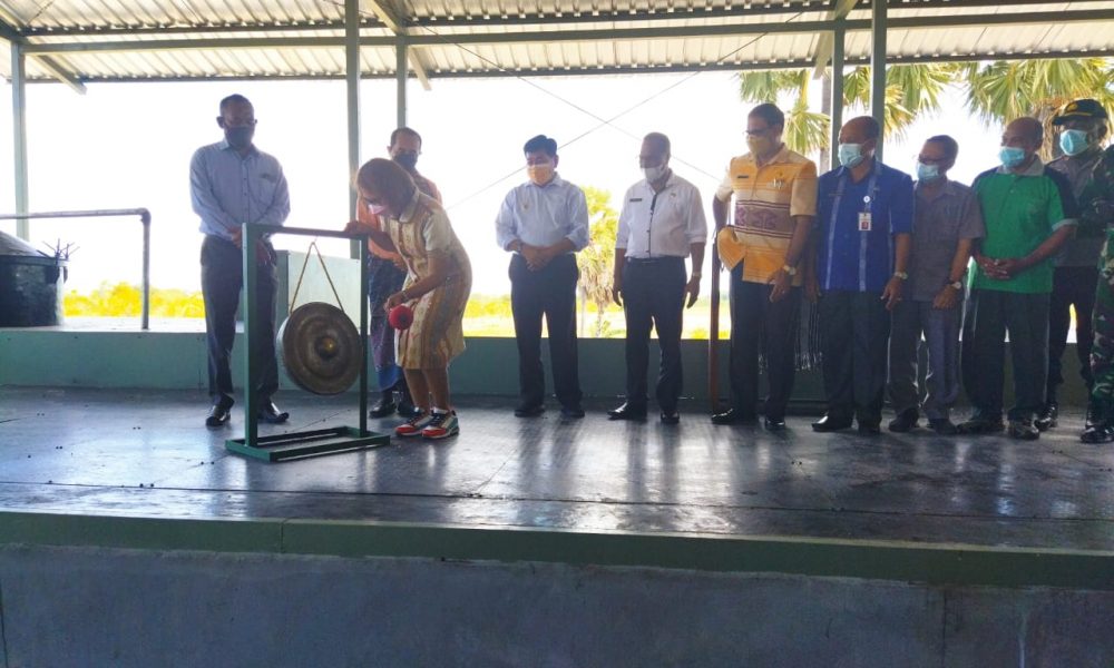 Rumah Suling Stefanie Loemau Diresmikan, Semangati Kaum Milenial untuk Bertani