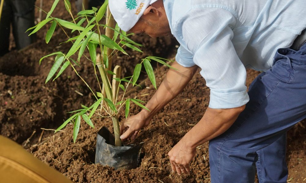 NTT Punya Kampus Bambu Pertama di Indonesia
