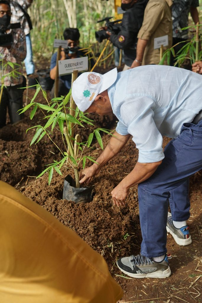 NTT Punya Kampus Bambu Pertama di Indonesia