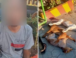 Polisi Bekuk Pencuri Anjing di Kupang
