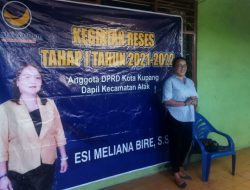 Reses di Batuplat, Esi Bire Fokus Bantu Wirausaha Pemula
