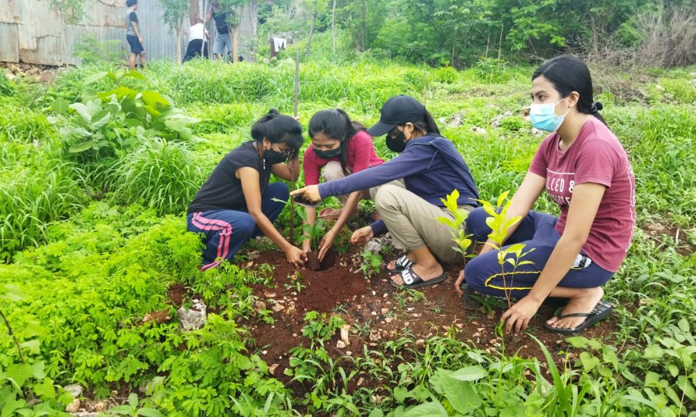 Peduli Lingkungan, Pemuda GMIT Bait'El Naimata Perangi Sampah dan Tanam Pohon Peduli Lingkungan, Pemuda GMIT Bait'El Naimata Perangi Sampah dan Tanam Pohon