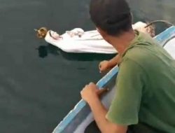 VIRAL! Patung Bunda Maria Ditemukan Mengapung di Teluk Lewoleba