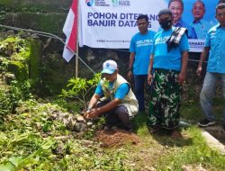 Peduli Lingkungan, Partai Gelora Indonesia di NTT Tanam Anakan Pohon