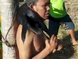Curi Anjing Milik Warga di Kupang, Pria Ini Terancam 7 Tahun Penjara