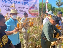 Ebulobo jadi Saksi, Transfer Spirit Gubernur ke Bupati Nagekeo, Bank NTT Siap Support