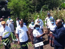 Gubernur Laiskodat Akan Ciptakan 1.000 Desa Bambu, Dirut Bank NTT: Kami Siap Support