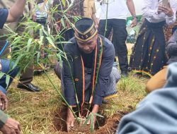 Tanam 245 Ribu Bibit Bambu, Mama-mama di Bangka Wela Raup Keuntungan Rp 612 Juta Lewat Bank NTT