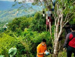 IRT 43 Tahun di TTS Ditemukan Tewas Tergantung di Pohon dalam Kebun Warga