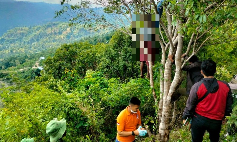 IRT 43 Tahun di TTS Ditemukan Tewas Tergantung di Pohon dalam Kebun Warga IRT 43 Tahun di TTS Ditemukan Tewas Tergantung di Pohon dalam Kebun Warga