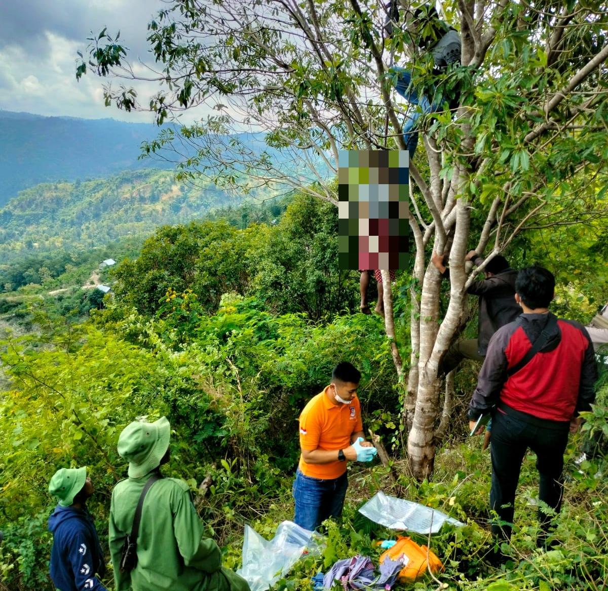 IRT 43 Tahun di TTS Ditemukan Tewas Tergantung di Pohon dalam Kebun Warga