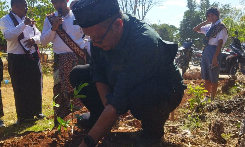 Kontingen Muhibah Budaya Jalur Rempah Tanam 116 Anakan Cendana di SMAN 6 Kupang Kontingen Muhibah Budaya Jalur Rempah Tanam 116 Anakan Cendana di SMAN 6 Kupang