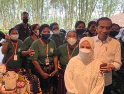 Presiden Jokowi Dukung NTT jadi Sentra Industri Bambu Rakyat