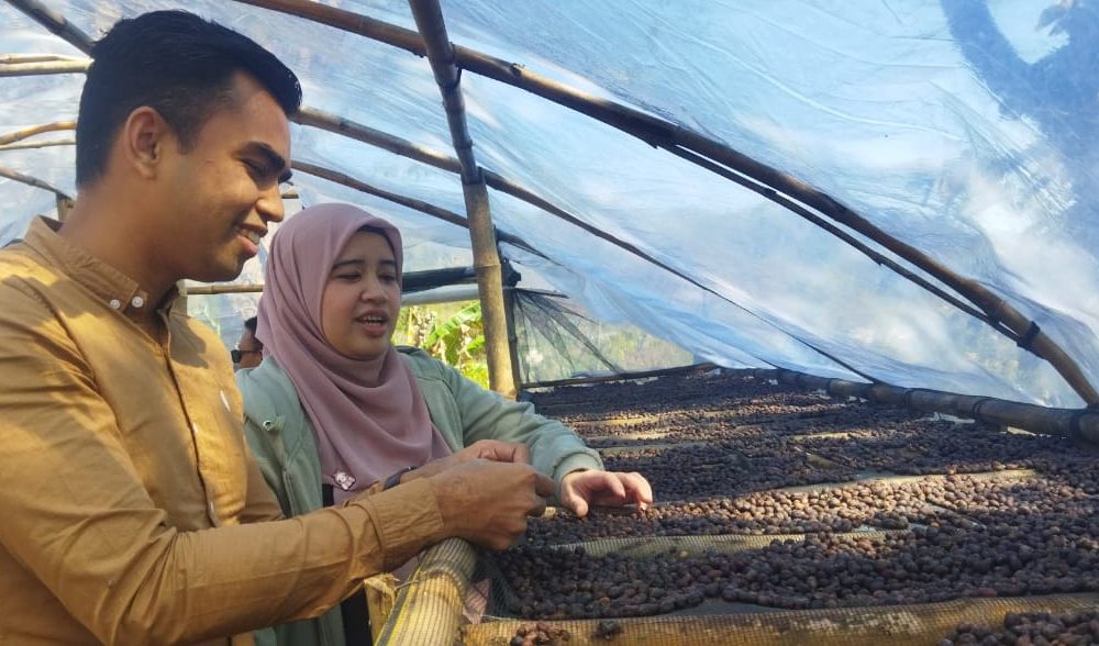 ITB Teliti Kopi Oelbiteno-Kupang, Berkualitas Tinggi, Kalahkan Kopi Sigarautang di Jabar ITB Teliti Kopi Oelbiteno-Kupang, Berkualitas Tinggi, Kalahkan Kopi Sigarautang di Jabar