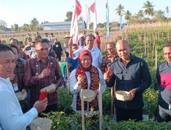 Warga NTT Harus Manfaatkan dengan Baik Musim Hujan Tahun Ini
