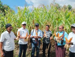 Bank NTT Hadirkan Aplikasi B’Pung Petani, Solusi untuk Krisis Pangan dan Inflasi