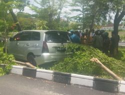 Ban Pecah, Sopir Hilang Kendali, Innova Masuk Taman Jalan El Tari Kupang