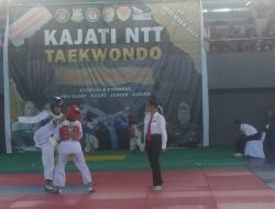 Turnamen Taekwondo Kajati NTT Libatkan 37 Wasit, Ada 4 Wasit Nasional