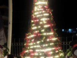 100 Pohon Natal Percantik Ruas Jalan El Tari Kupang