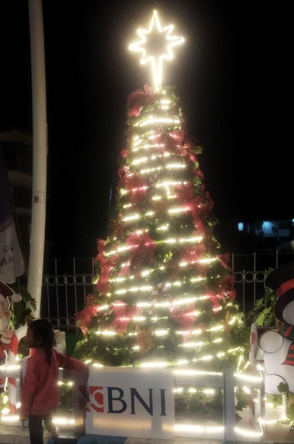100 Pohon Natal Percantik Ruas Jalan El Tari Kupang