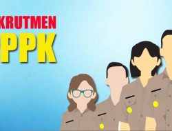 543.300 Guru Honorer jadi ASN PPPK, Pemda Diminta Usul Banyak Formasi, Baru 40,9 Persen