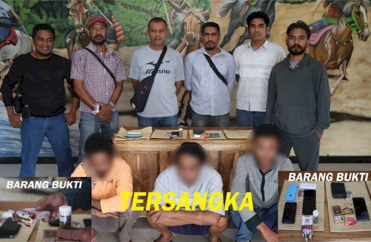 Polres Sumba Barat Ungkap Sindikat Narkoba, Amankan 3 Pelaku dan Barang Bukti