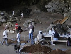 ‘Dunia Hilang’ Ditemukan di NTT, Peneliti Inggris Ungkap Komodo Berasal dari Sumba