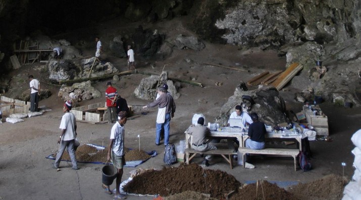 'Dunia Hilang' Ditemukan di NTT, Peneliti Inggris Ungkap Komodo Berasal dari Sumba