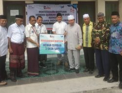Idul Adha 1444 Hijriah, Bank NTT Serahkan 3 Ekor Sapi Kurban ke MUI