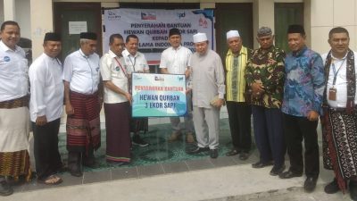 Idul Adha 1444 Hijriah, Bank NTT Serahkan 3 Ekor Sapi Kurban ke MUI