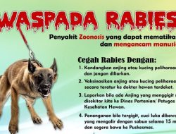 Korban Gigitan Anjing Rabies di TTS Mencapai 139 Orang, Status KLB
