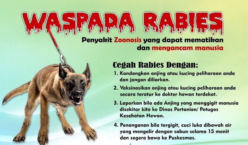 Korban Gigitan Anjing Rabies di TTS Mencapai 139 Orang, Status KLB