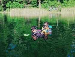 Tenggelam di Danau, Seorang Remaja di NTT Ditemukan Tewas
