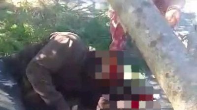 Warga Tuapukan Tewas Tertimpa Pohon yang Disensor untuk Balok Rumahnya