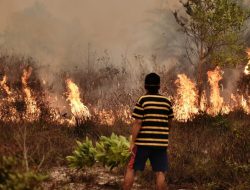 WASPADA! BMKG Prediksi Wilayah NTT Berpotensi Angin Kencang dan Kebakaran Hutan