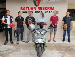 Gerebek Judi Ayam di Rote, Polisi Amankan 3 Pelaku