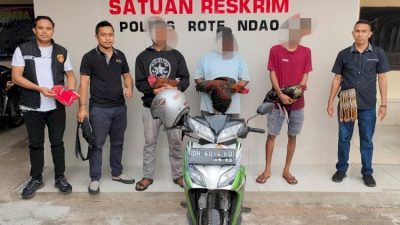 Gerebek Judi Ayam di Rote, Polisi Amankan 3 Pelaku