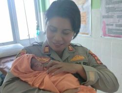 Heboh di Kupang, Anjing Bawa Kardus Berisi Bayi Baru Lahir, Polisi Kantongi Bukti Kuat