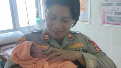 Heboh di Kupang, Anjing Bawa Kardus Berisi Bayi Baru Lahir, Polisi Kantongi Bukti Kuat