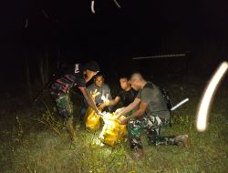 Satgas Yonif 742/SWY Gagalkan Penyelundupan Kayu Cendana dari Timor Leste