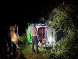 Kecelakaan Maut di Sumba Barat: Kerbau Meronta, Pick Up Oleng, 5 Nyawa Melayang, 11 Luka-luka